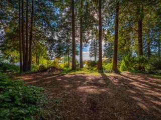 Photo 2: 877 GOWER POINT Road in Gibsons: Gibsons & Area House for sale (Sunshine Coast)  : MLS®# R2419918