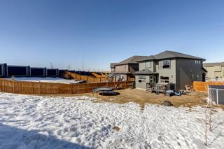 Photo 37: 240 Nolanhurst Place NW in Calgary: Nolan Hill Detached for sale : MLS®# A2036154