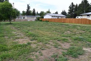 Photo 9: 236 1 Street E: Duchess Residential Land for sale : MLS®# A2103323