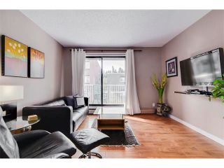 Photo 12: 306 835 19 Avenue SW in Calgary: Lower Mount Royal Condo for sale : MLS®# C4032189