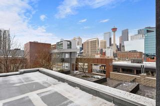 Photo 15: 302 211 13 Avenue SE in Calgary: Beltline Apartment for sale : MLS®# A2127323