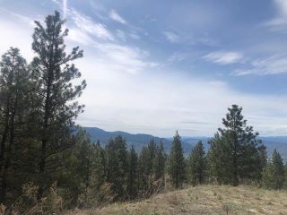 Photo 7: LOT 9 MULE DEER Point, in Osoyoos: Vacant Land for sale : MLS®# 198643