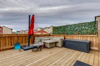 Photo 34: 28 Copperpond Avenue SE in Calgary: Copperfield Detached for sale : MLS®# A1176309