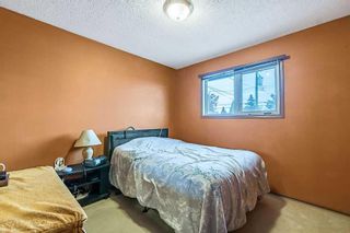 Photo 12: 6012 4 Street NE in Calgary: Thorncliffe Detached for sale : MLS®# A2095705