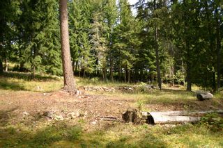 Photo 32: 11 6432 Sunnybrae Road in Tappen: Steamboat Shores Vacant Land for sale (Shuswap Lake)  : MLS®# 10155187