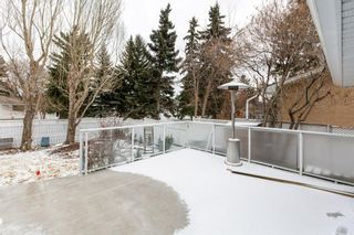 Photo 41: 3724 Utah Drive NW in Calgary: University Heights Detached for sale : MLS®# A1205823