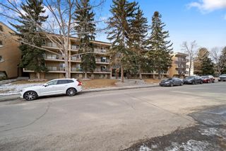 Photo 19: 406 617 56 Avenue SW in Calgary: Windsor Park Apartment for sale : MLS®# A1196065