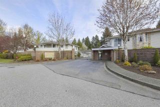 Photo 15: 224 10584 153 STREET in Surrey: Guildford Townhouse for sale (North Surrey)  : MLS®# R2360695