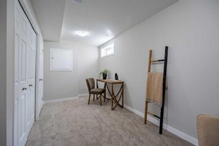 Photo 29: 916 7038 16 Avenue SE in Calgary: Applewood Park Row/Townhouse for sale : MLS®# A2120879