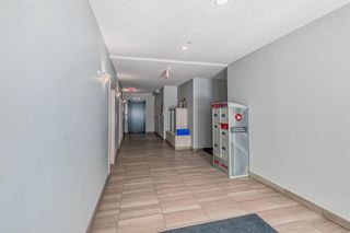 Photo 27: 5207 522 Cranford Drive SE in Calgary: Cranston Apartment for sale : MLS®# A2033177
