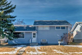 Main Photo: 4719 Greenview Drive NE in Calgary: Greenview Detached for sale : MLS®# A2109728