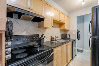 Photo 13: 102 823 19 Avenue SW in Calgary: Lower Mount Royal Apartment for sale : MLS®# A2125655