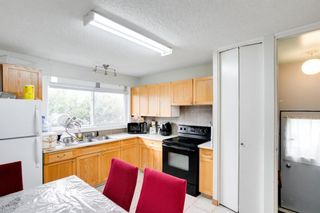 Photo 6: 248 Van Horne Crescent NE Vista Heights Calgary Alberta T2E 6H1 Home For Sale CREB MLS A2020621