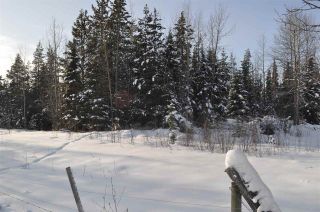Photo 11: 16563 OLD BABINE LAKE Road in Smithers: Smithers - Rural House for sale (Smithers And Area (Zone 54))  : MLS®# R2537253