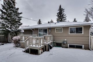 Photo 44: 4232 5 Avenue SW in Calgary: Wildwood Detached for sale : MLS®# A2021489