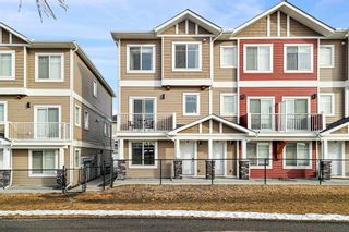 Photo 40: 41 Redstone Circle NE in Calgary: Redstone Row/Townhouse for sale : MLS®# A1193464
