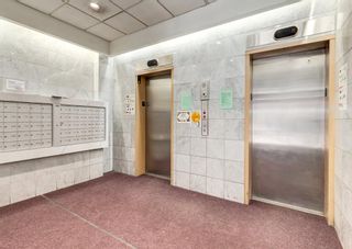 Photo 19: 1101 108 3 Avenue SW in Calgary: Chinatown Apartment for sale : MLS®# A1213638