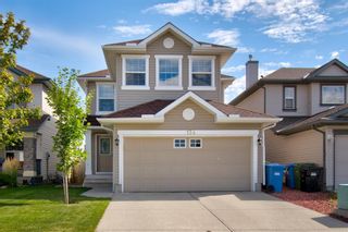 Photo 41: 154 Bridlewood Court SW in Calgary: Bridlewood Detached for sale : MLS®# A1161709