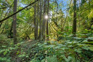 Photo 16: Lot 1 Telegraph Rd in Cobble Hill: ML Cobble Hill Land for sale (Malahat & Area)  : MLS®# 956650