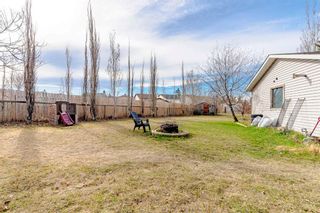 Photo 35: 136 Erin Ridge Road SE in Calgary: Erin Woods Detached for sale : MLS®# A2124973