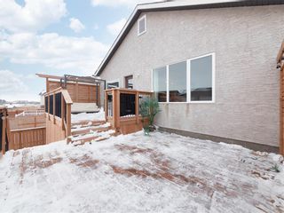 Photo 17: 15 Larry Vickar Drive East in Winnipeg: Devonshire Village Residential for sale (3K)  : MLS®# 202228285