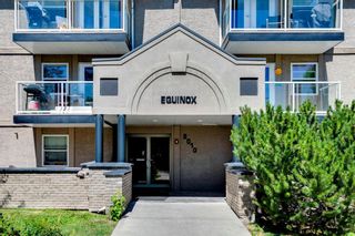 Photo 21: 104 2010 35 Avenue SW in Calgary: Altadore Apartment for sale : MLS®# A1240990