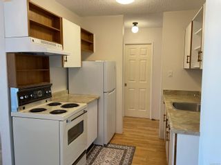 Photo 22: 203 156 Government St in Duncan: Du West Duncan Condo for sale : MLS®# 919656