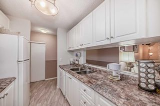 Photo 19: 118 20 Dover Point SE in Calgary: Dover Apartment for sale : MLS®# A2124249