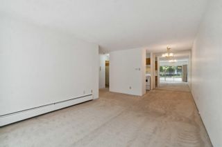 Photo 11: 108 3787 W 4TH Avenue in Vancouver: Point Grey Condo for sale (Vancouver West)  : MLS®# R2877126