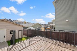 Photo 25: 57 Panora Street NW in Calgary: Panorama Hills Detached for sale : MLS®# A2135321