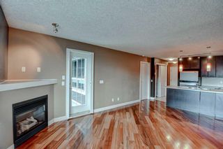 Photo 9: 449 35 Richard Court SW in Calgary: Lincoln Park Apartment for sale : MLS®# A2129003