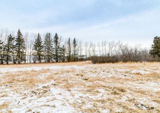 Photo 14: 31152 TWP RD 262 (Lochend Road) in Rural Rocky View County: Rural Rocky View MD Residential Land for sale : MLS®# A1162649