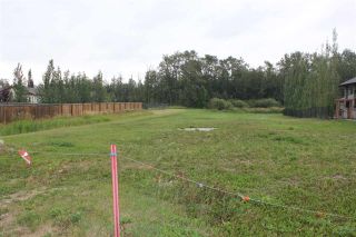 Photo 6: 3729 47 Street: Gibbons Vacant Lot/Land for sale : MLS®# E4124273
