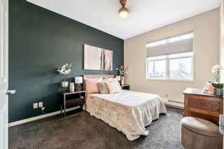 Photo 17: 306 25 Prestwick Drive SE in Calgary: McKenzie Towne Apartment for sale : MLS®# A1256915