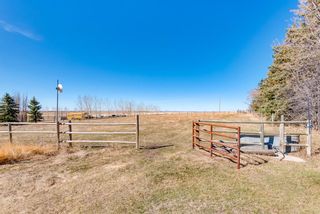 Photo 38: 5 Canal Court in Rural Rocky View County: Rural Rocky View MD Detached for sale : MLS®# A1095312