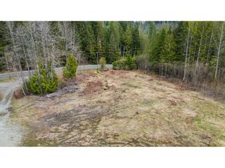 Photo 10: Lot 1 32482 DEWDNEY TRUNK ROAD in Mission: Vacant Land for sale : MLS®# C8056746