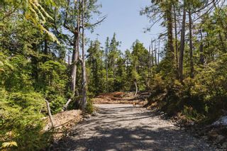 Photo 10: LOT A Hawkes Rd in Ucluelet: PA Ucluelet Land for sale (Port Alberni)  : MLS®# 911701