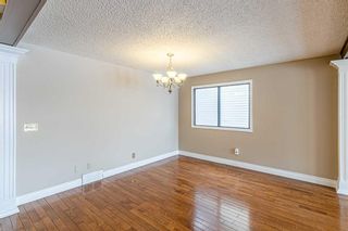 Photo 10: 55 TEMPLEVALE Way NE in Calgary: Temple Detached for sale : MLS®# A2103805