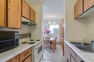 Photo 12: 2310 3115 51 Street SW in Calgary: Glenbrook Apartment for sale : MLS®# A1014586