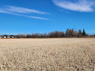 Photo 10: 6002 57 Avenue: Olds Residential Land for sale : MLS®# A2088833