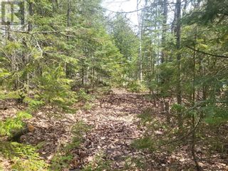 Photo 22: N/A Tobacco Lake Rd N in Gore Bay: Vacant Land for sale : MLS®# 2110842