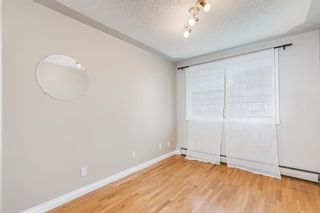 Photo 14: 5 2417 2 Street SW in Calgary: Mission Apartment for sale : MLS®# A2013880