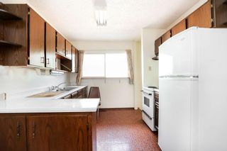 Photo 31: 51 Harwood Crescent in Winnipeg: Westdale Residential for sale (1H)  : MLS®# 202223167