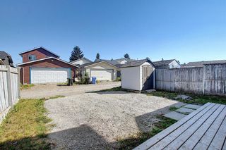 Photo 38: 119 Martinwood Court NE in Calgary: Martindale Detached for sale : MLS®# A1138566