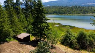 Photo 58: 3209 White Lake Road, in Tappen, BC: House for sale : MLS®# 10268943