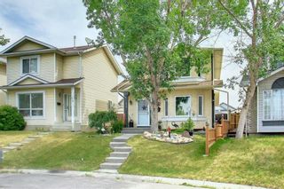 Photo 42: 55 Erin Crescent SE in Calgary: Erin Woods Detached for sale : MLS®# A1244399