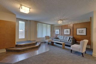 Photo 3: 302 1730 7 Street SW in Calgary: Lower Mount Royal Apartment for sale : MLS®# A2080352