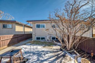 Photo 38: 1709 50 Street SE in Calgary: Forest Lawn Semi Detached (Half Duplex) for sale : MLS®# A2115014