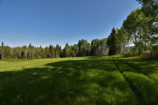 Photo 35: BOURGON ROAD in Smithers: Telkwa - Rural Land for sale (Smithers And Area)  : MLS®# R2700048