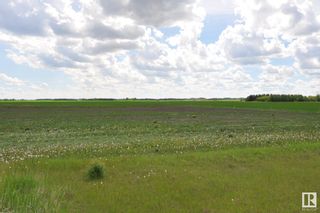 Photo 6: RR 260 & Twp 564 NW: Rural Sturgeon County Rural Land/Vacant Lot for sale : MLS®# E4298717